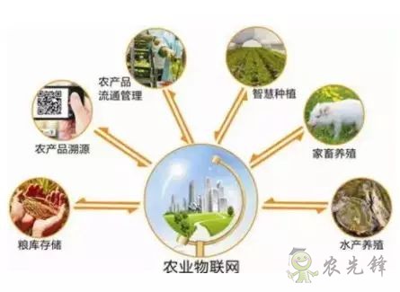 為農(nóng)業(yè)插上翅膀,物聯(lián)網(wǎng)引領(lǐng)下一個(gè)農(nóng)業(yè)時(shí)代!
