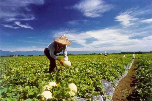 陜西省今年將培育高素質農民2萬余人