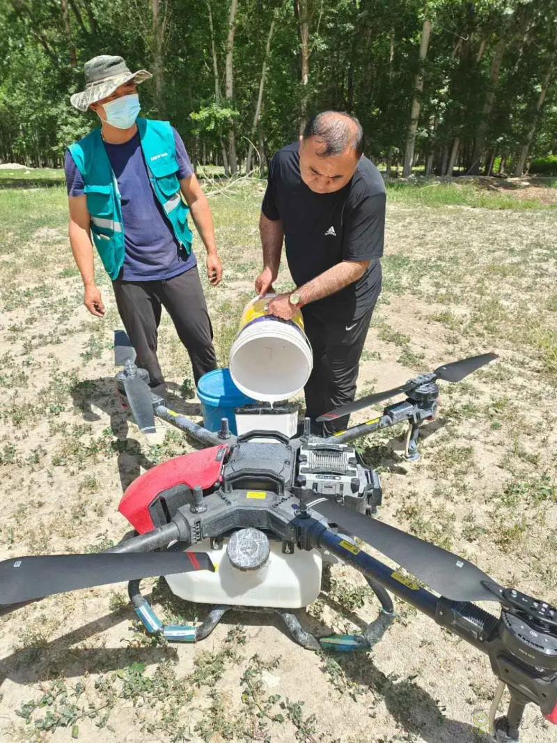 新疆 4 萬畝楊樹林蟲害爆發，極飛農業無人機升空阻擊