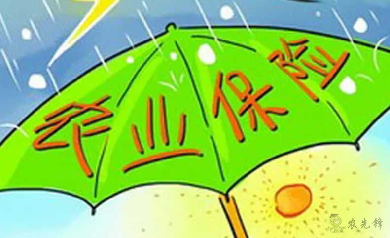 龍文軍:河南特大暴雨突顯農(nóng)業(yè)保險的重要性
