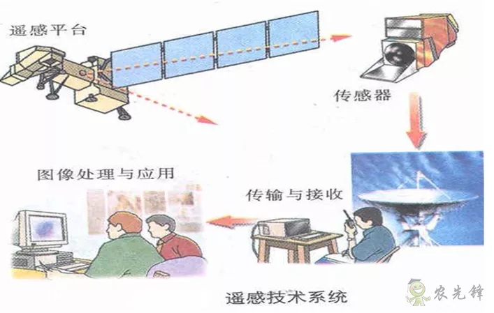 中國(guó)遙感衛(wèi)星再添新成員 看TA在太空如何對(duì)農(nóng)作物“稱斤計(jì)兩”？