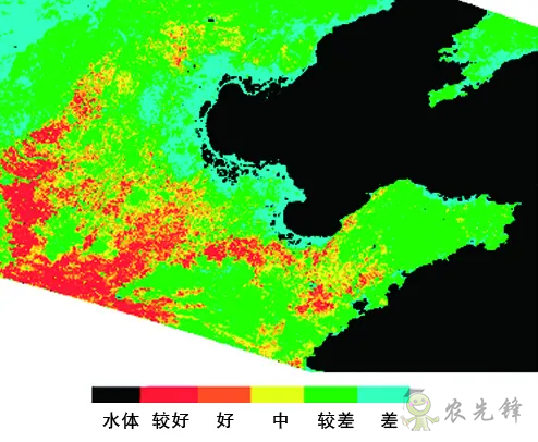 中國(guó)遙感衛(wèi)星再添新成員 看TA在太空如何對(duì)農(nóng)作物“稱斤計(jì)兩”？