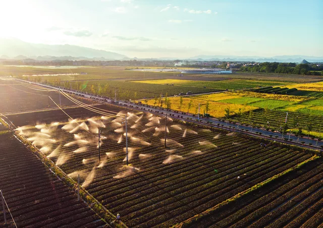8 月 30 日,湖南省永州市道縣清塘鎮(zhèn)濂溪大洞蔬菜基地,灌溉系統(tǒng)在給蔬菜澆水 陳思汗攝 / 本刊