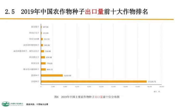 中國每年進口7萬噸“洋種子”：14億人的飯碗，能端穩嗎？