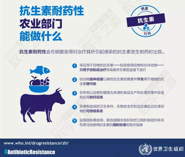 “抗生素肉”擺滿中國人餐桌，豬肉含量居然是牛肉的5倍!