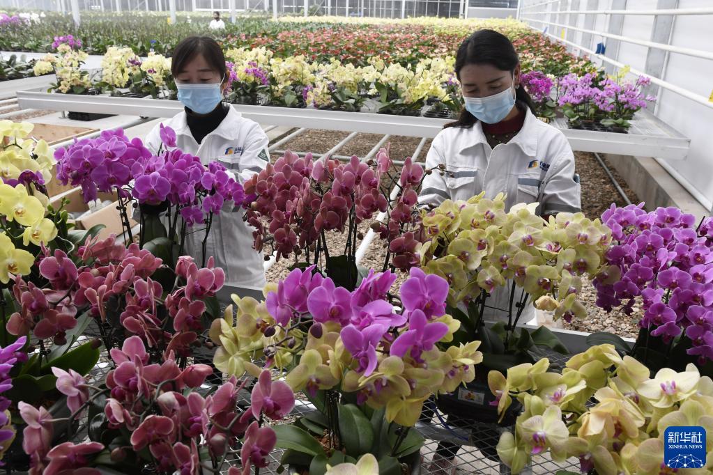 新華社發(史有東 攝)