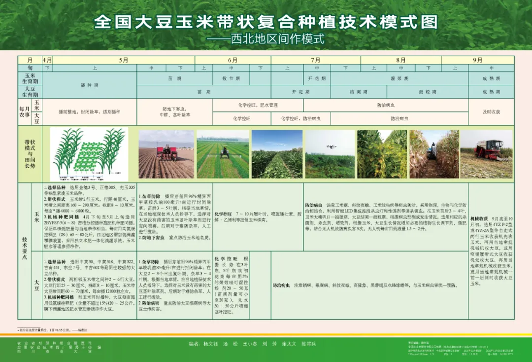 玉米大豆長期發展趨勢！大豆自產量可增三倍，利潤翻倍！