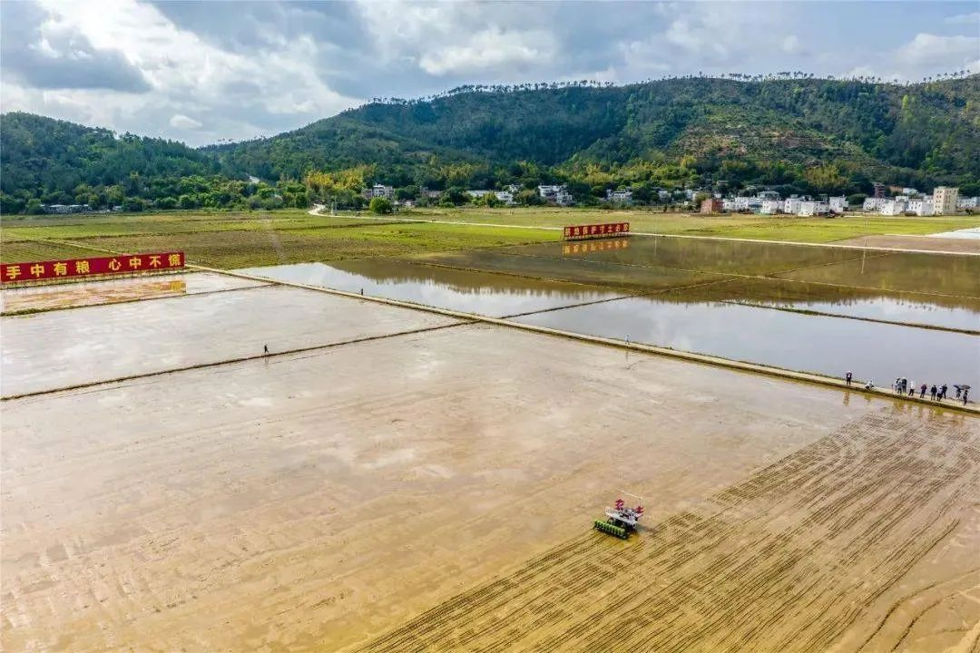 首次無人駕駛水直播機播種“太空稻”！羅錫文院士：屬全國首次！