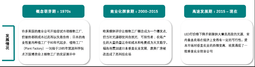 垂直農業，一個可持續的未來？