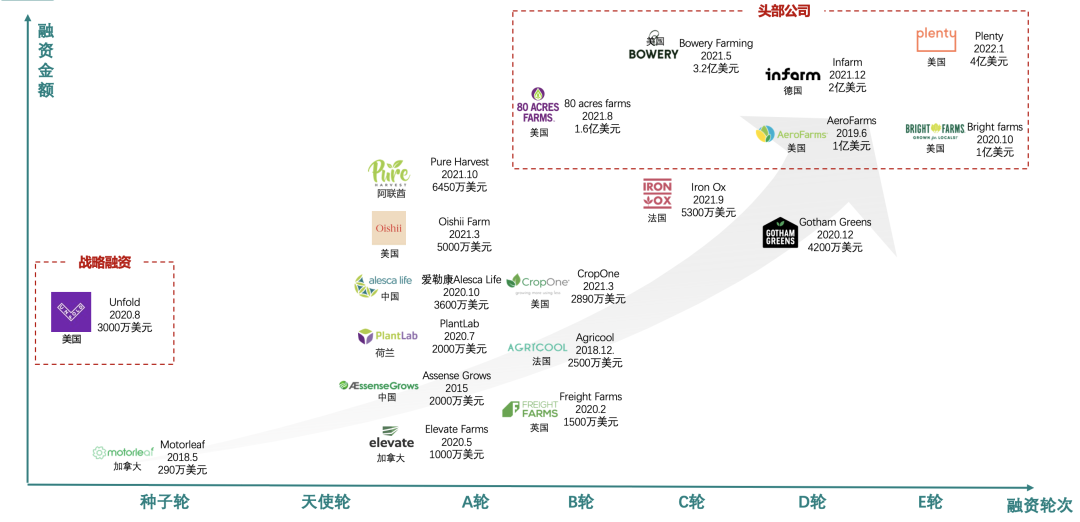 垂直農業，一個可持續的未來？