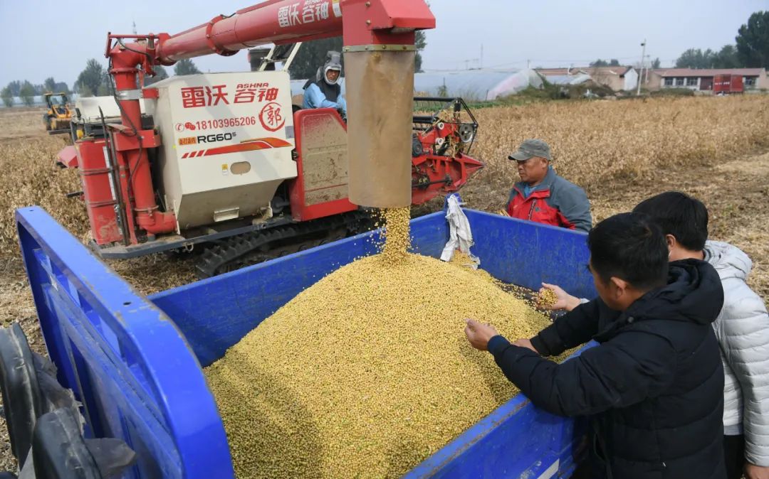 今年全國2200萬畝大豆擴產目標 預計將超額完成