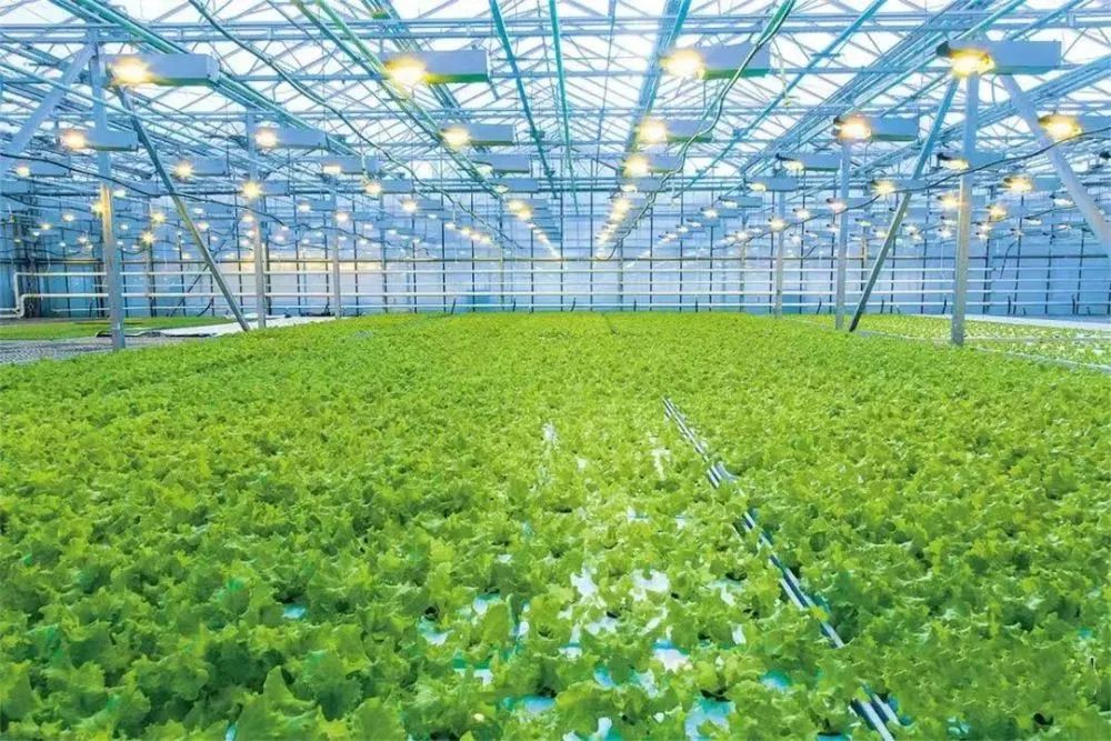 2023年中國農食系統十大趨勢，引發農業產業鏈變革