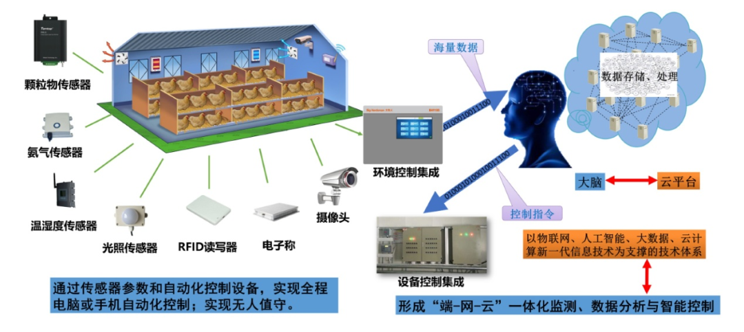 農業農村部發布《肉雞立體養殖技術指導意見》