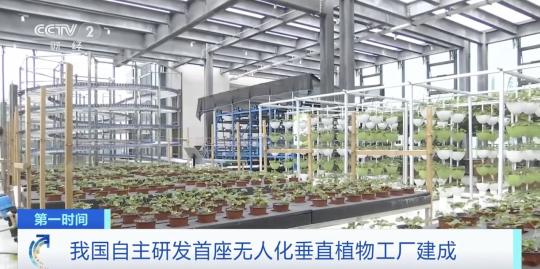 由農科院都市農業研究所自主研發的首座無人化垂直植物工廠投入使用